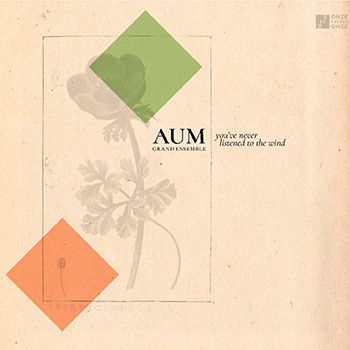 aum-grand-ensemble-youve-never-listened-to-the-wind